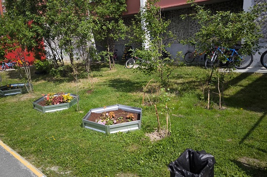 благодарность нашим жителям